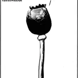 Viñeta El Roto 15/09/2010