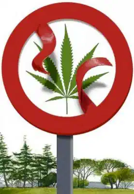 Señal de prohibido cannabis