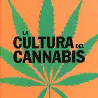 Patrick Matthews — La cultura del cannabis