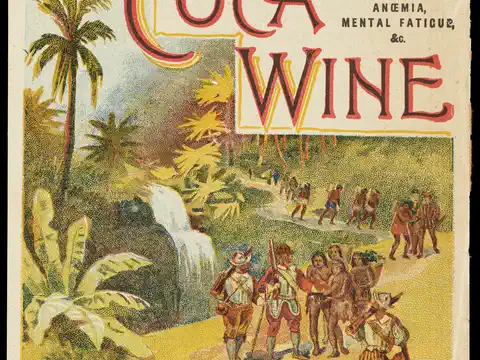 Vinos de Coca