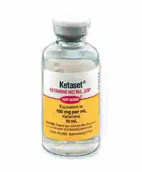 Ketamina Ketaset
