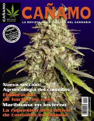 «Cáñamo (La revista de la cultura del cannabis)», n.º 144