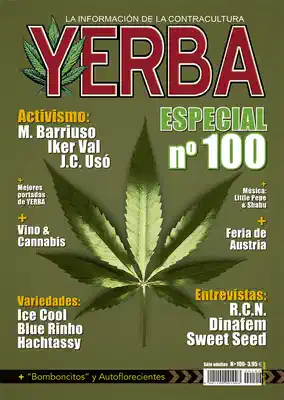 Yerba 100